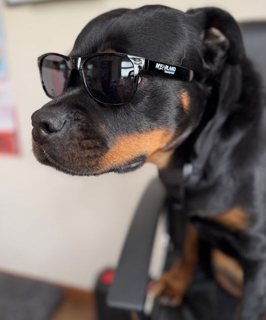 McFarland Sunglasses
