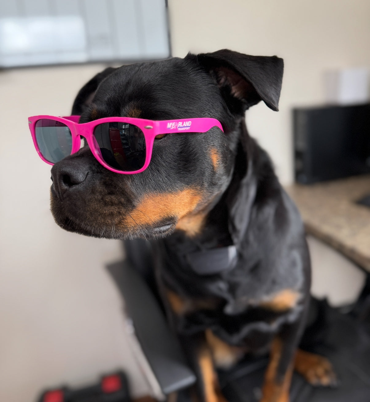 McFarland Sunglasses